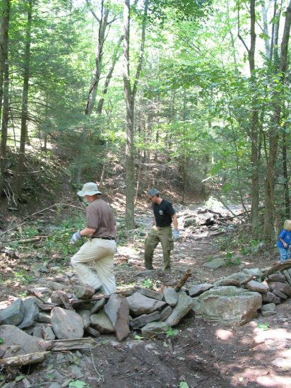 Closed illegal trail spur - Click to Enlarge