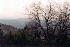 Allegany Wildlife Management Area