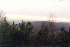 Allegany Wildlife Management Area