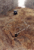 Hill Climb