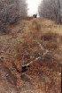 Hill Climb