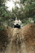 Hill Descent