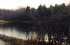 Nightingale's Pond