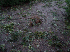 Hurricane Isabel Aftermath