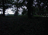 Hurricane Isabel Aftermath