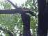 Hurricane Isabel Aftermath