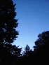 Dawn