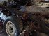 Restoration Project