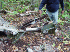 B-52 Crash Site Parts