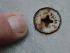 B-52 Crash Site Parts