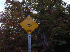 B-52 Sign