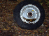 B-52 Wheel