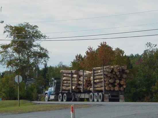 Logging Truck
