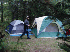 JJ at Moosehead Family Campground
