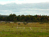 Pittston Farm