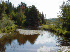 Wilderness View