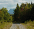 Wilderness View
