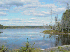 Wilderness View