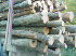 Lumber Load Passing