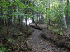 Path to Johnson Pond