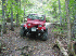 JJ on the Path to Johnson Pond