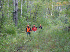 Hiking to Ice Cave