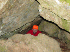 Carl coming out of Ice Cave