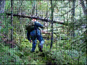 "Trail" Conditions (What Trail?)