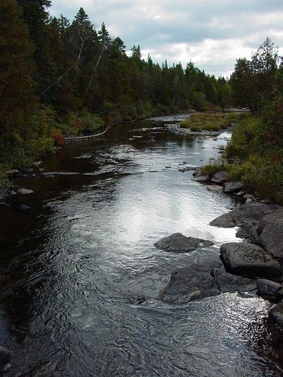 Stream