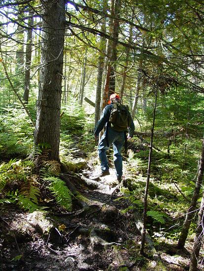 Hiking from Trains