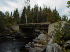 Bridge over Stream