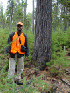 JJ and Large Pine