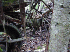 Train Parts