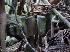 Train Parts