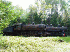 Train and Leo