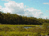 Eagle Lake