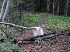 Impromptu Trail Markers