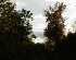 Wilderness View