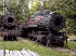 Trains