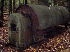 Trains