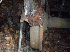 Train Wheel