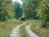 Down the Trail