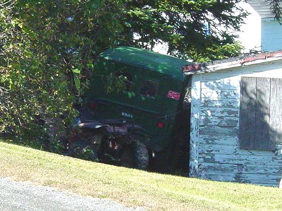 Willys in bushes