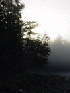 Daybreak on Round Pond