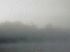 Daybreak on Round Pond