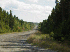 Golden Road (JJ and Carl)