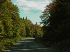 Road