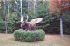 Moose Fly