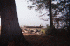 Buzzy's Canoe