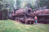 Paul and Train
